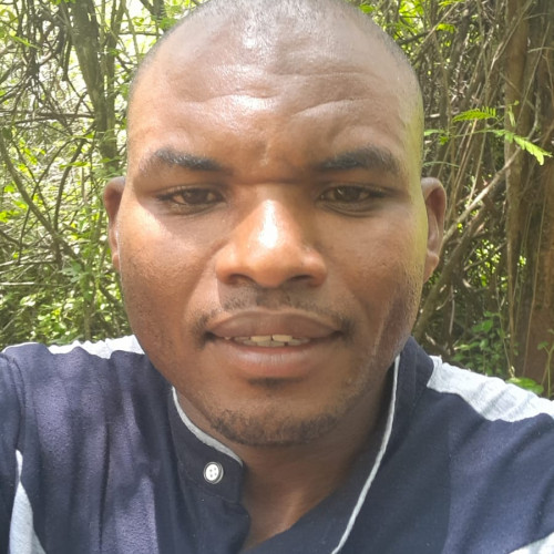 jimmy n. profile photo