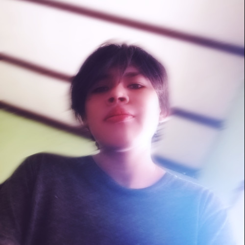 Alex R. profile photo