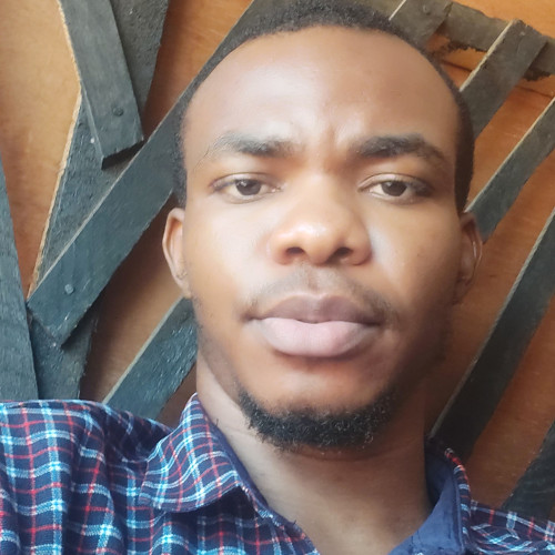 chibuike  E. profile photo