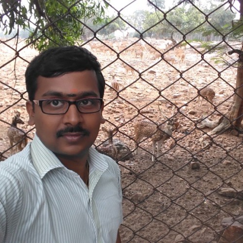 Krishna Kumar T.