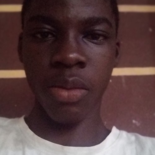 Adedapo D.