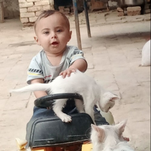 Shahid A.