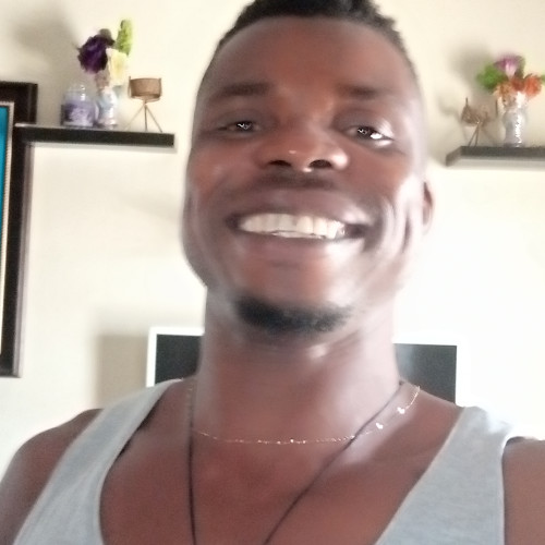 Steven  N. profile photo