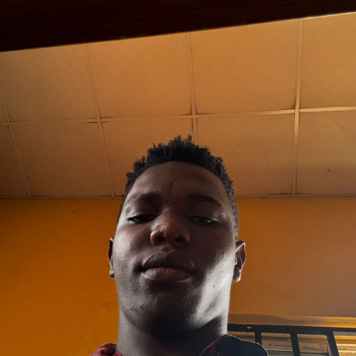 Daniel M. profile photo