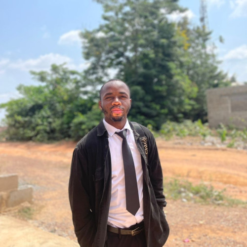 okeowo o. profile photo