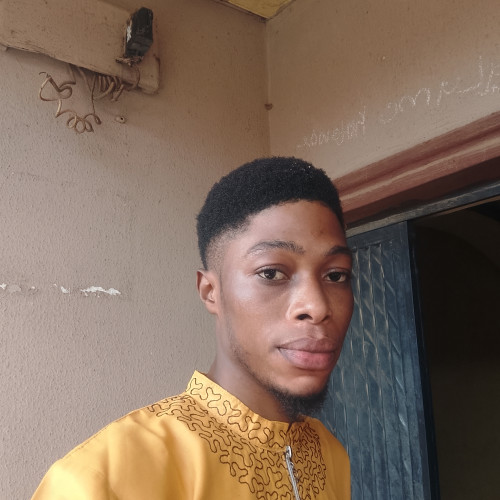Adeyinka  A. profile photo