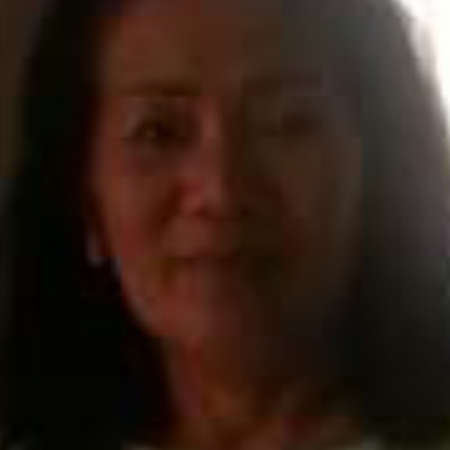 Felisa T.