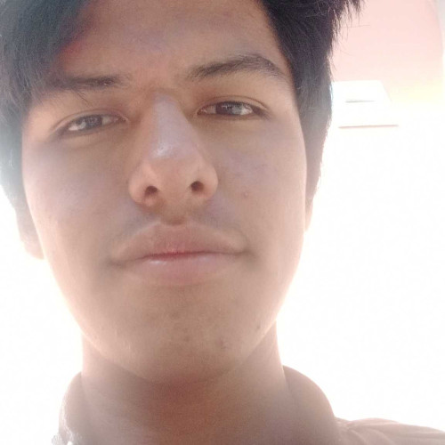 dayan v.
