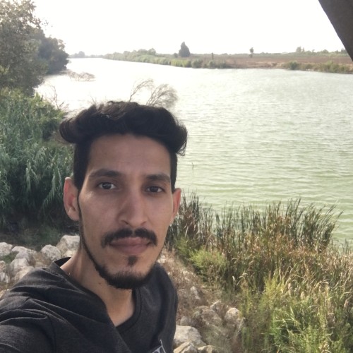 Mehdi L. profile photo
