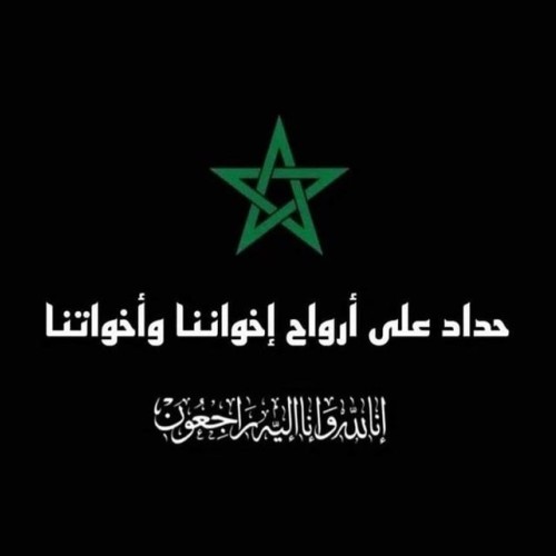 Mehdi A. profile photo