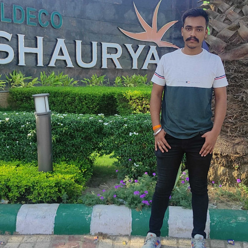 Saurya P.