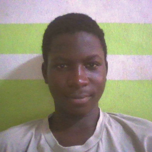 OLUWANIFESIMI O. profile photo