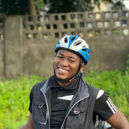 Adeolu A. profile photo