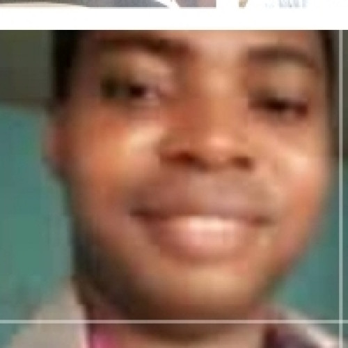 Oluseyi A. profile photo