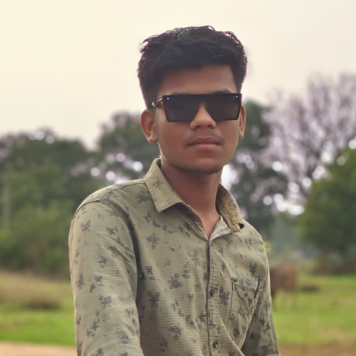 BISSHES  R. profile photo