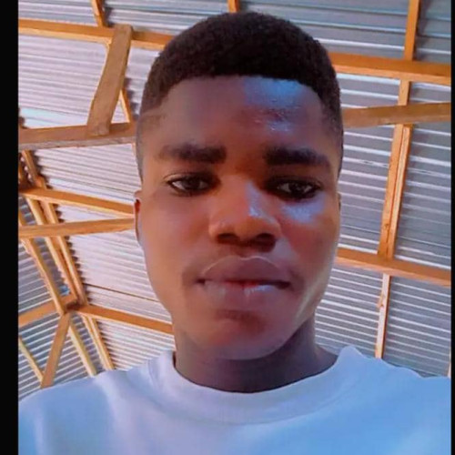 Raphael A. profile photo