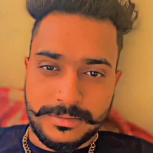 Ravinder S. profile photo