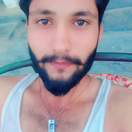 Shani M. profile photo