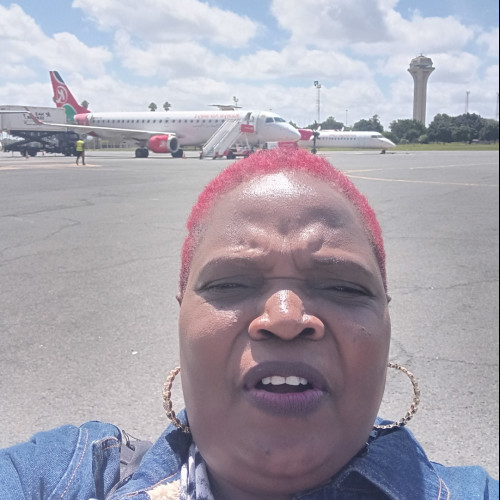 Anne N. profile photo