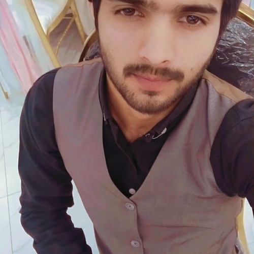 shahzaib A.