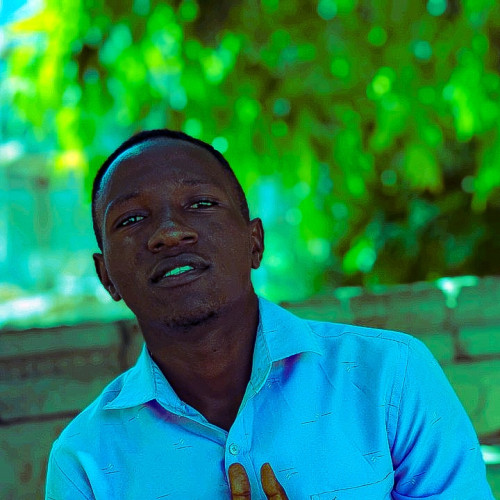 Dafiba D. profile photo