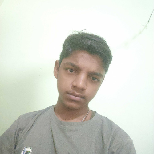 manas s. profile photo