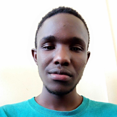 Benayoun M. profile photo