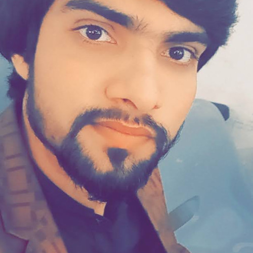Muhammad  R. profile photo