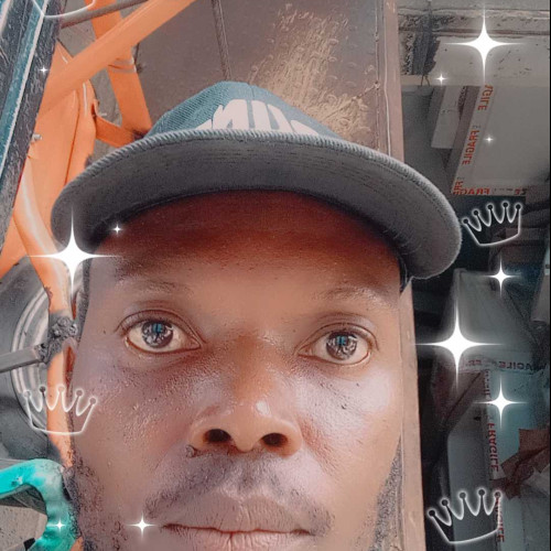 Francis n. profile photo