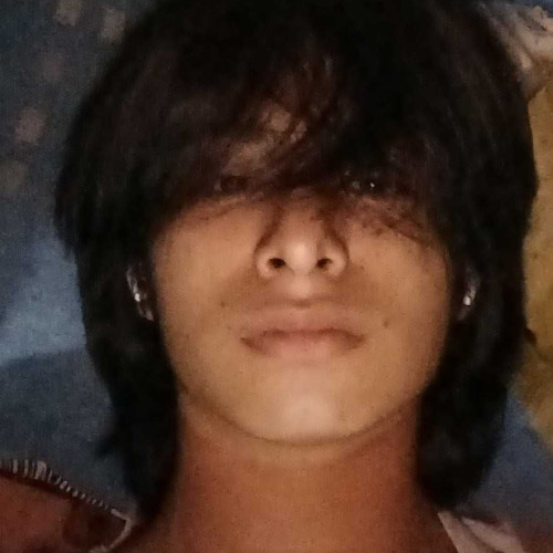 Din0 H. profile photo