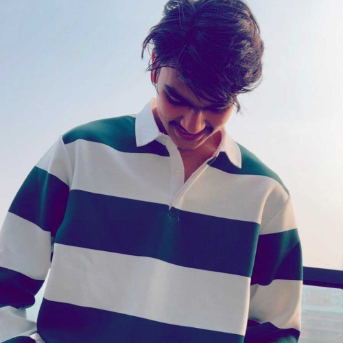 Ansh D. profile photo