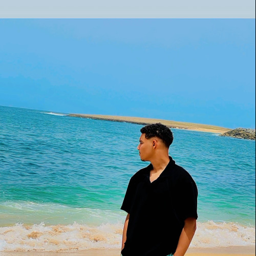 MEHDI A. profile photo