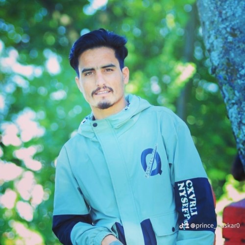 Pushkar A.
