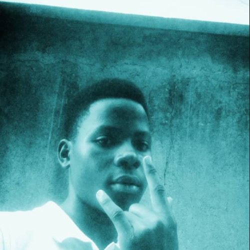 Kibuuka  N. profile photo