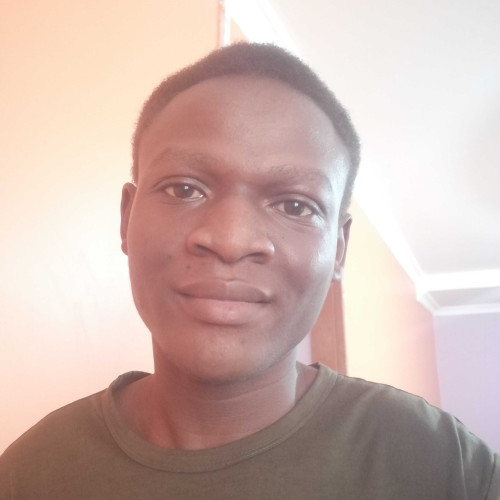 noel k. profile photo