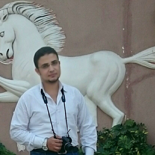 Ahmed M. profile photo