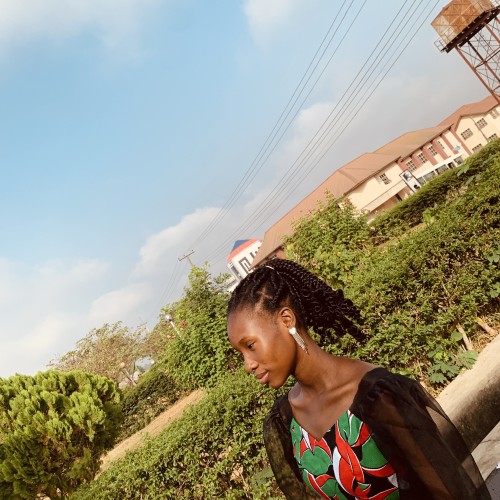 Toluwalade  O. profile photo