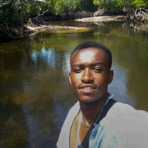 Reamy  P. profile photo