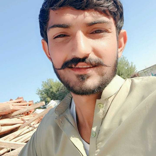shahzaib k. profile photo