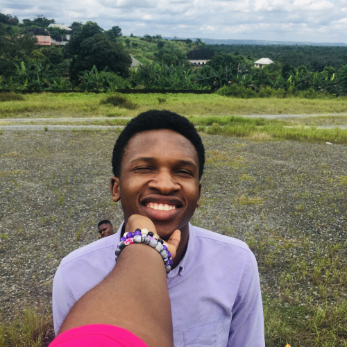 Chidiebube  N. profile photo