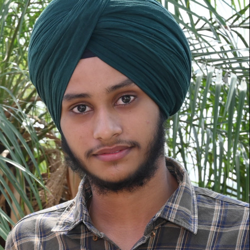 Ramandeep S. profile photo