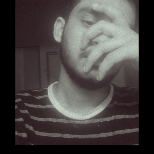 Shaik S. profile photo