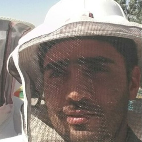 Reza S.