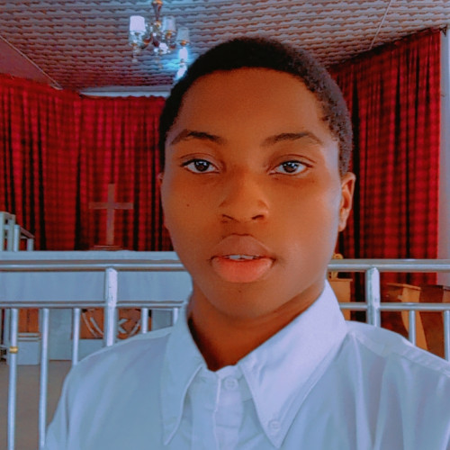 Chidera  E. profile photo