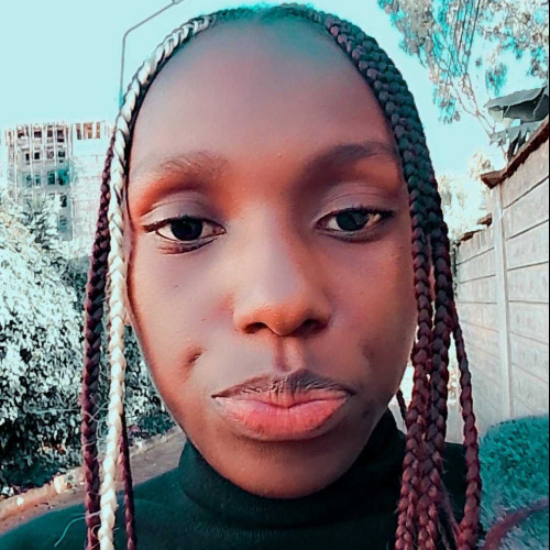 sarah n. profile photo