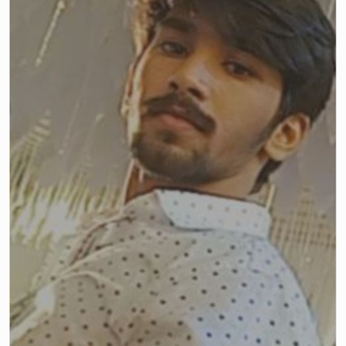 Arman  K. profile photo