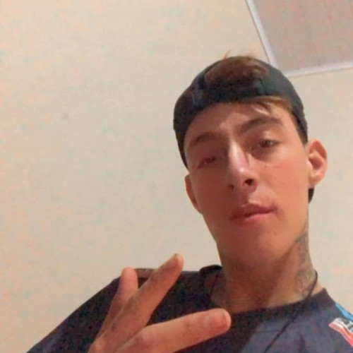 Tiago F. profile photo