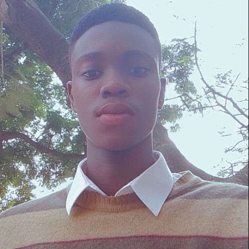 Timmy S. profile photo