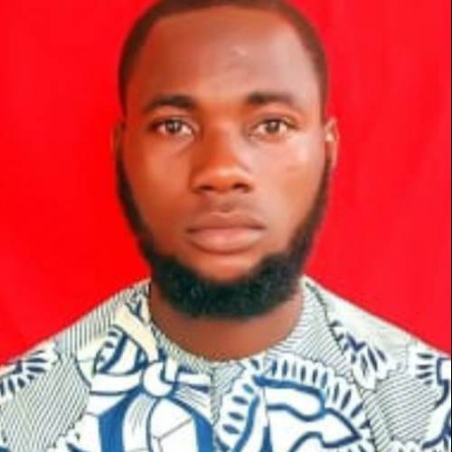 Adeleke N.