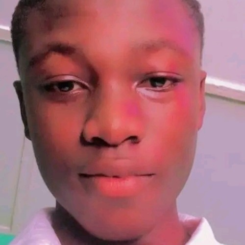 Adebowale  M. profile photo